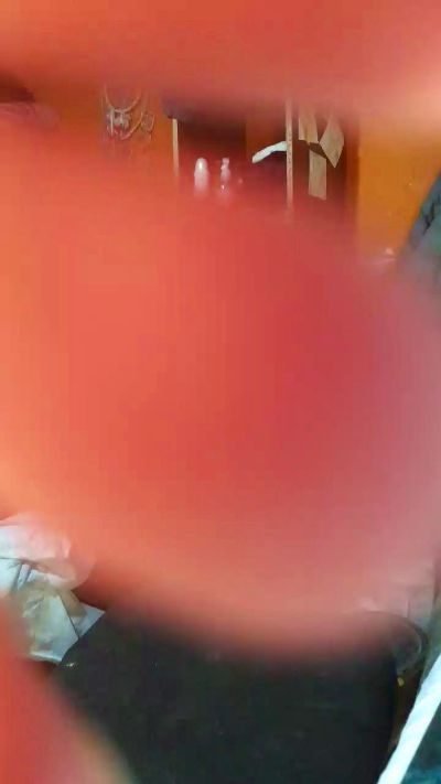 Dollb from Argentina