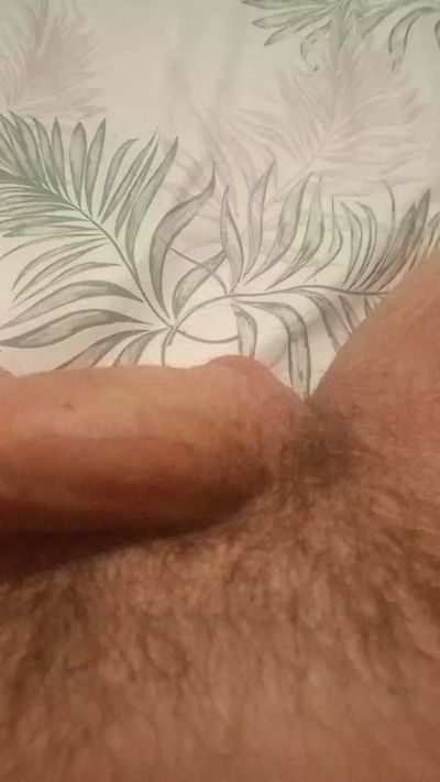 Gallumbero2 from Spain