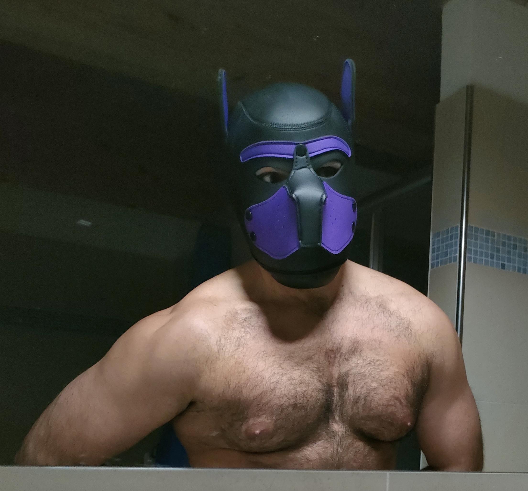 Hairypuppy82 from Italy