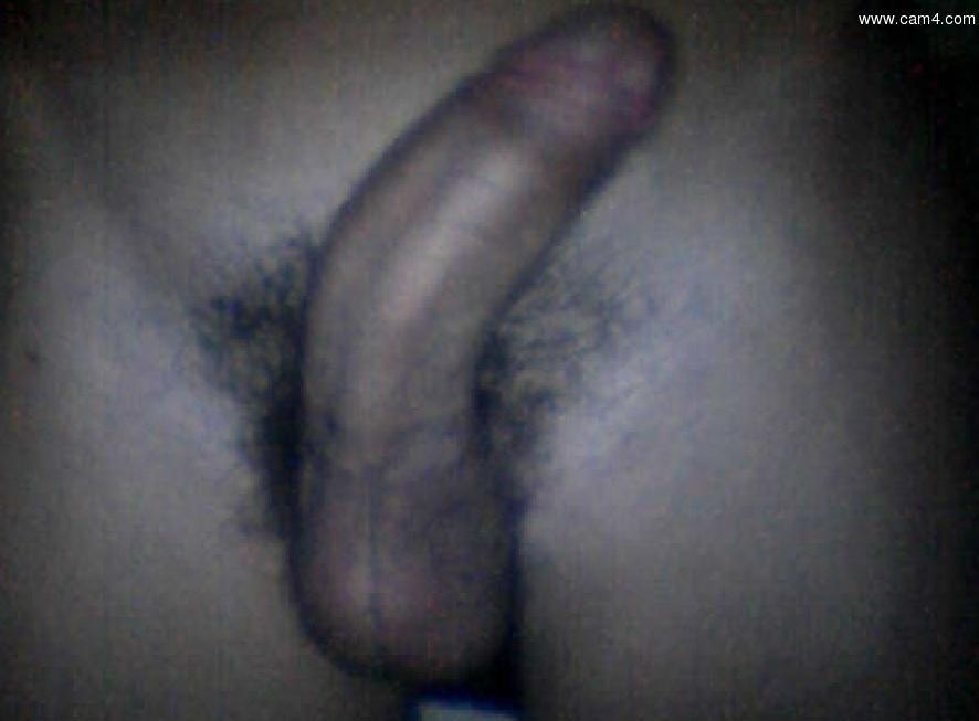 hoootbooy from Brazil