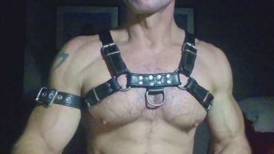 horny__pig from United States