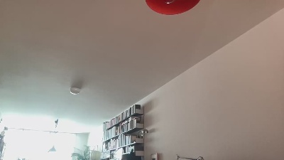 mrmcrubber from Switzerland