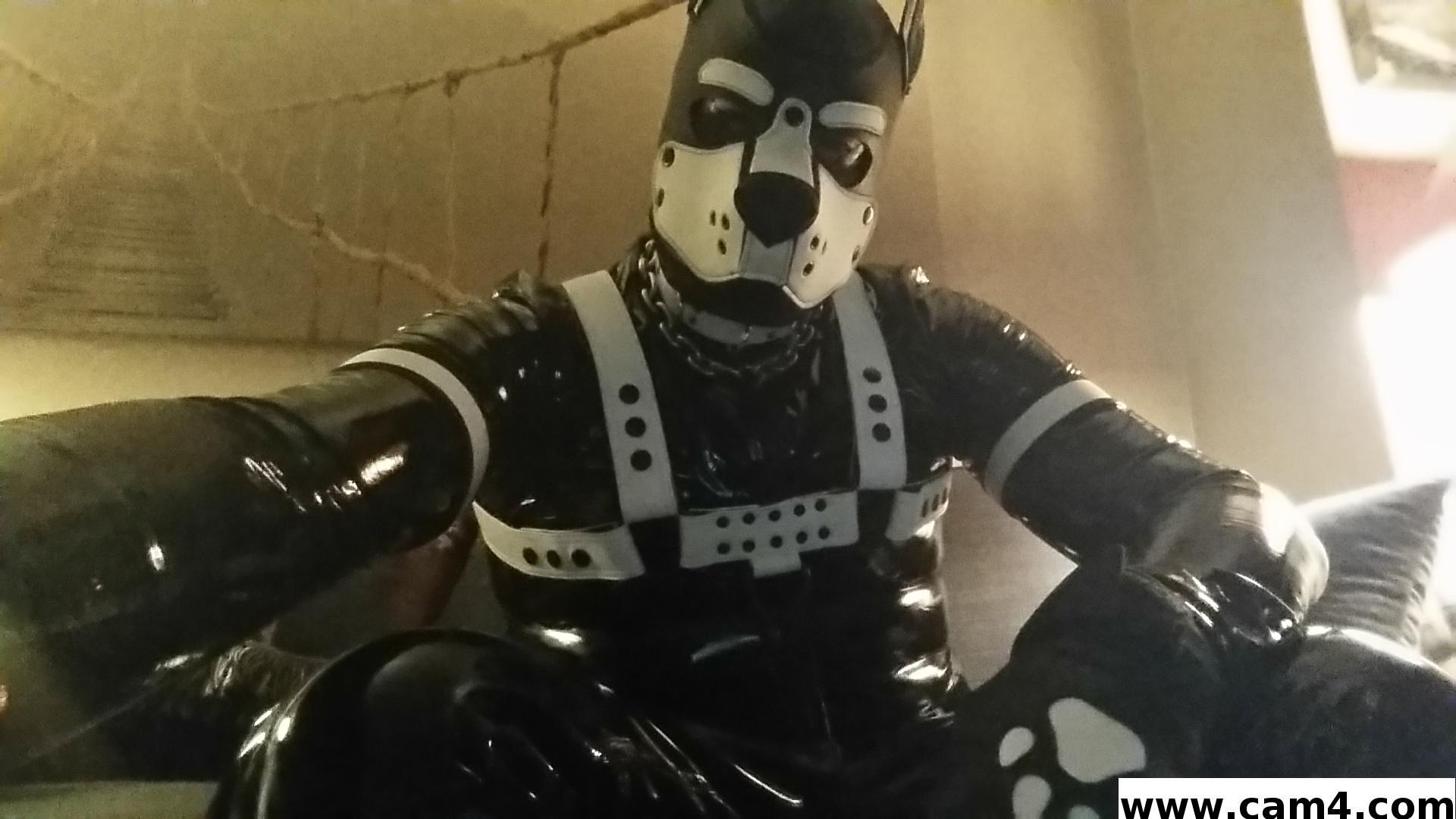rubberfly from United States